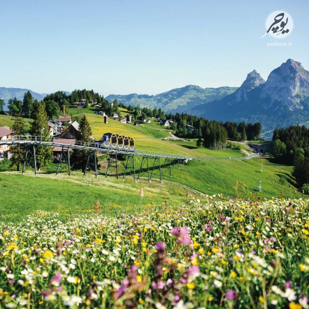 اولین و بزرگترین شرکت سازنده زیپ لاین در جهان دوپل مایر یوچر